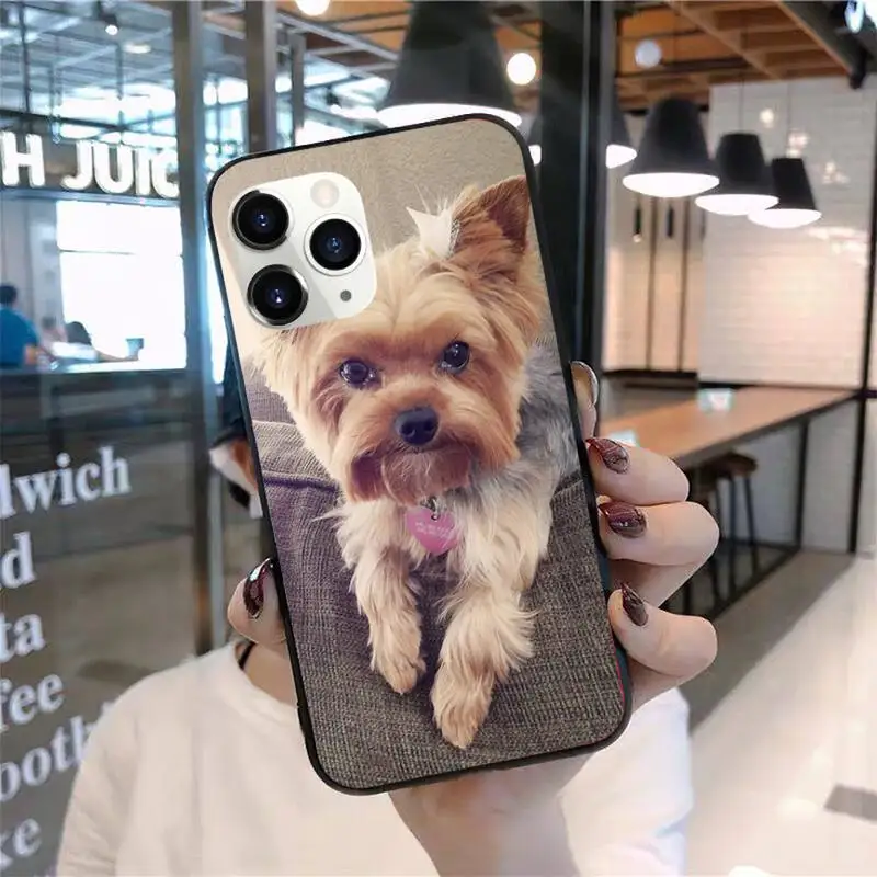 

Mini Yorkshire Terrier Dog Phone Case for iPhone 11 12 pro XS MAX 8 7 6 6S Plus X 2020 XR Mini