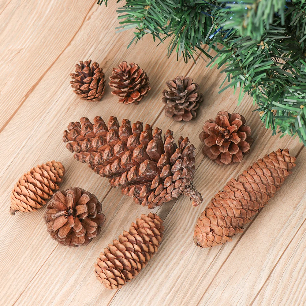 5/20 шт. Рождество натуральные сухие цветы сосновая шишка желудь искусственные цветы для украшения дома DIY ВЕНОК подвесное украшение