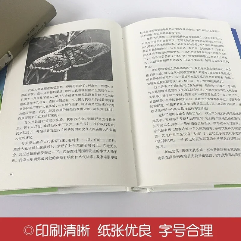 

Insect Remember Eighth Grade Reading Extra-Curricular Masterwork Book World Classic Literature Masterwork Book Greenish Blue Les