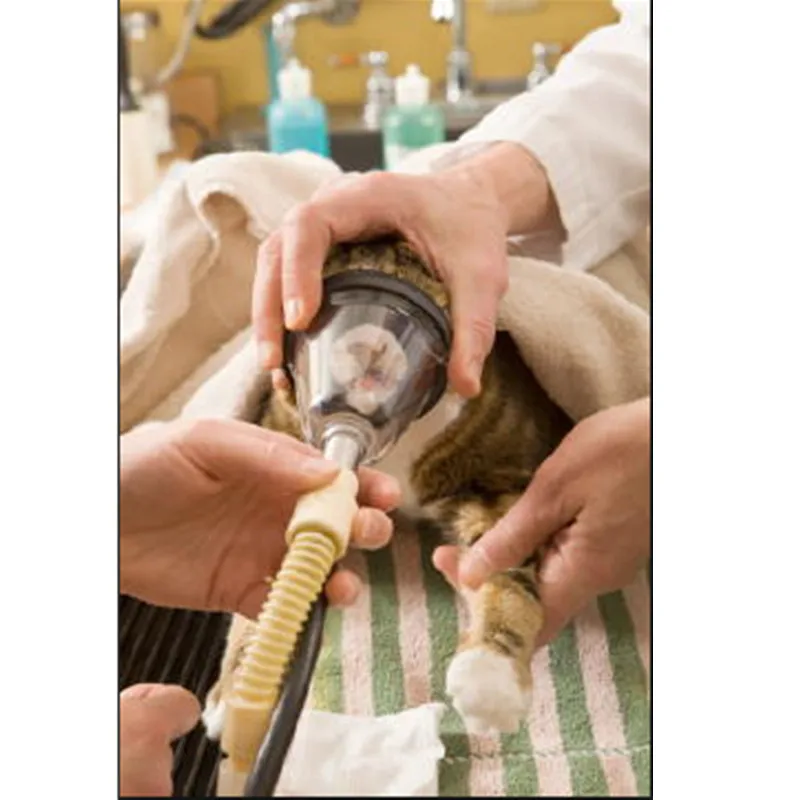 Wondcon ветеринарная маска для анестезии животных 6 размеров zero dead space быстрая