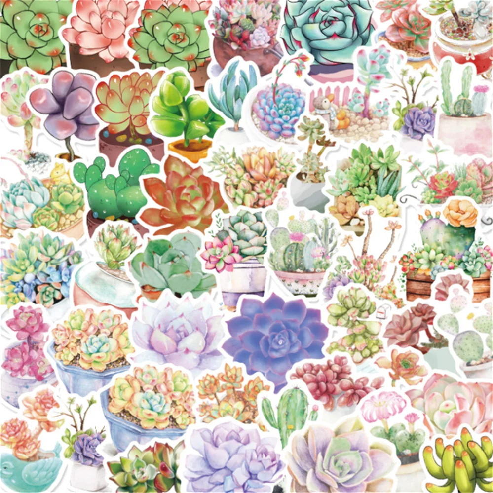

10/30/50PCS Succulent Flower Plant Graffiti Sticker Laptop Suitcase Waterproof Guitar Decoration Sticker Toy Wholesale