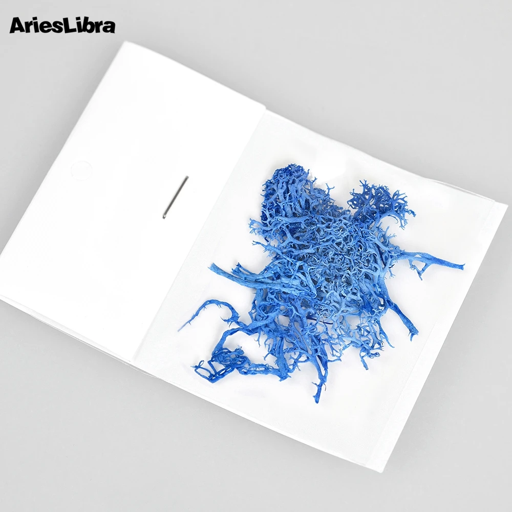 AriesLibra водные растения сохраненные цветы 3D сушеный цветок натуральный Сделай Сам