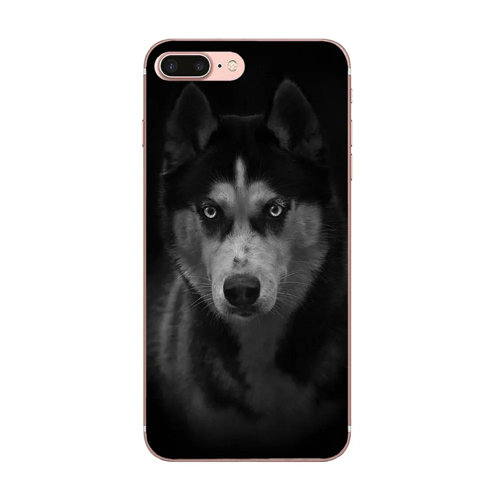 Мягкие чехлы Capa Lovely Animal Husky Puppy для Huawei Honor 4C 5A 5X 6A 6C 6X 7X 9 V8 V10 Mate 7 8 10 P9 P20 Pro Lite Play |