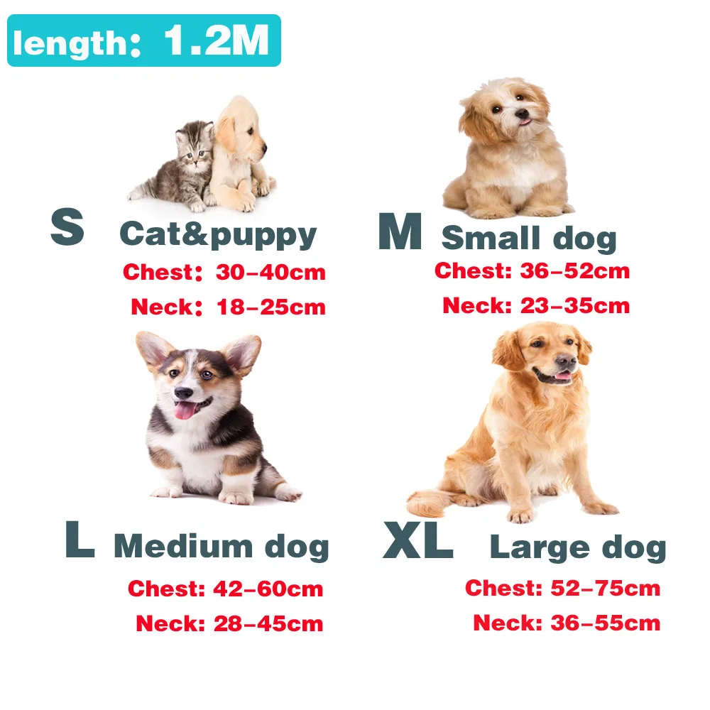 Лидер продаж роскошный модный поводок ошейник для домашних животных ремень
