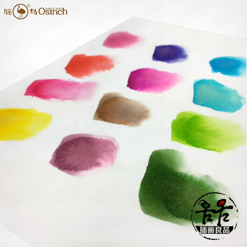 История страусиных цветов чернила с золотым порошком акварель для пера 12 15