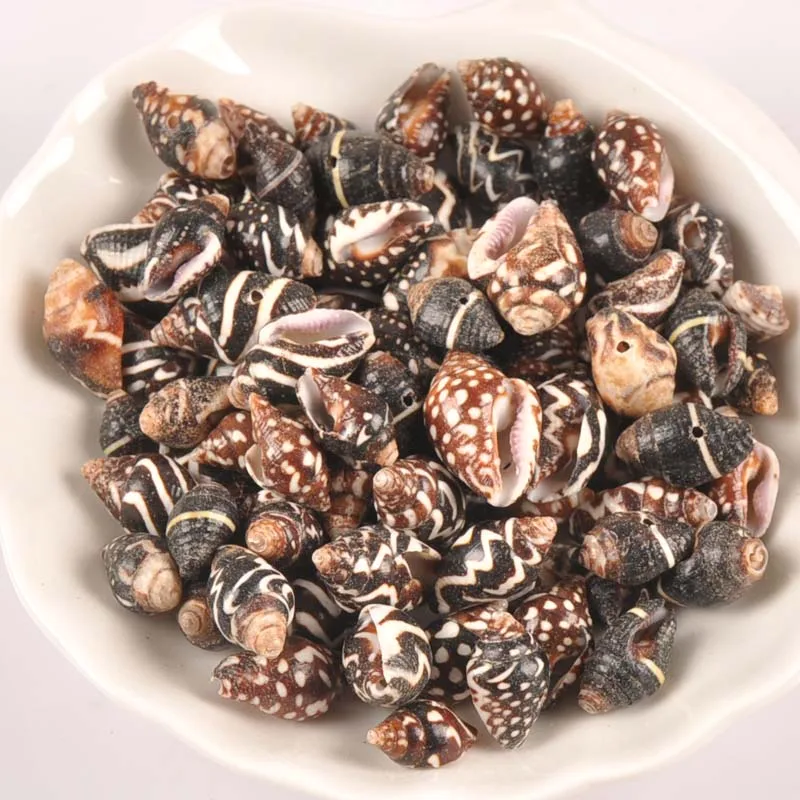 Ракушка спиральная с одним отверстием 12-18 мм 20 шт. | Дом и сад