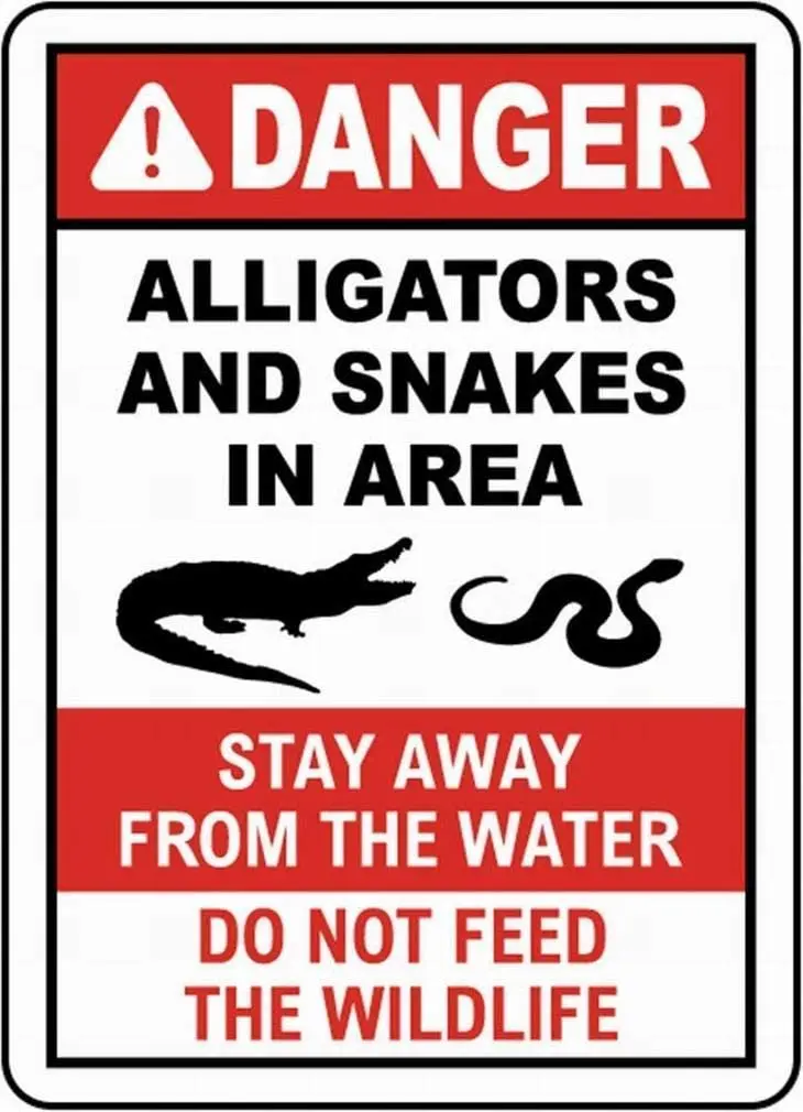 

Danger Alligators and Snakes In Area Stay Away From The Water Interesting Warning Metal Decorative Warning Sign Board 8x12 Inch