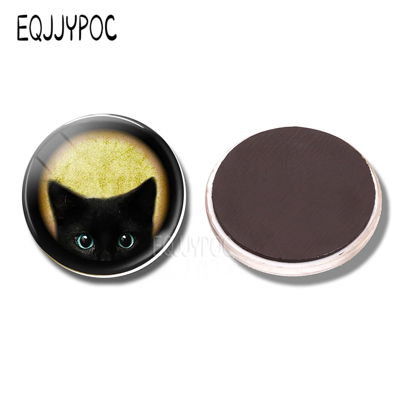 

Магниты для холодильника EQJJYPOC, пара кошек, стекло, 30 мм