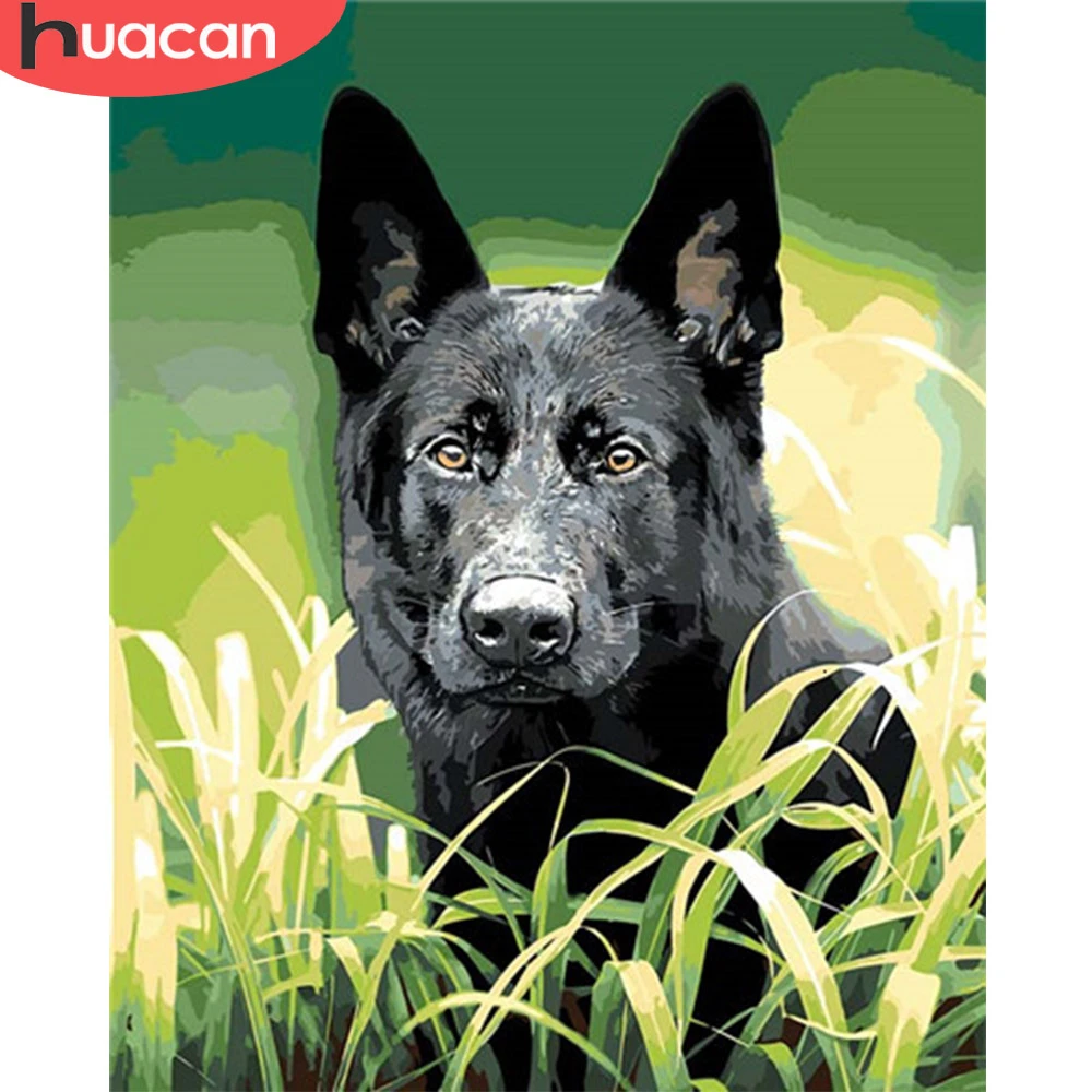 HUACAN живопись по номерам Рисование животных на холсте Ручная роспись искусство