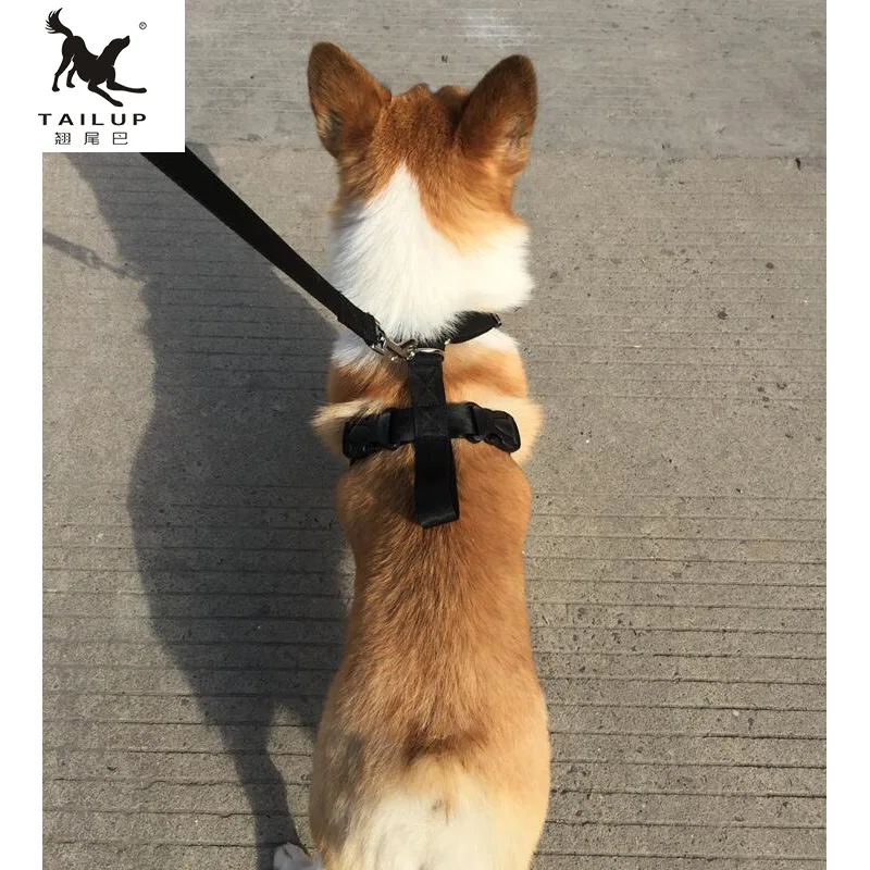 Задний ремень с воздухопроницаемой сеткой изображением собаки поводок