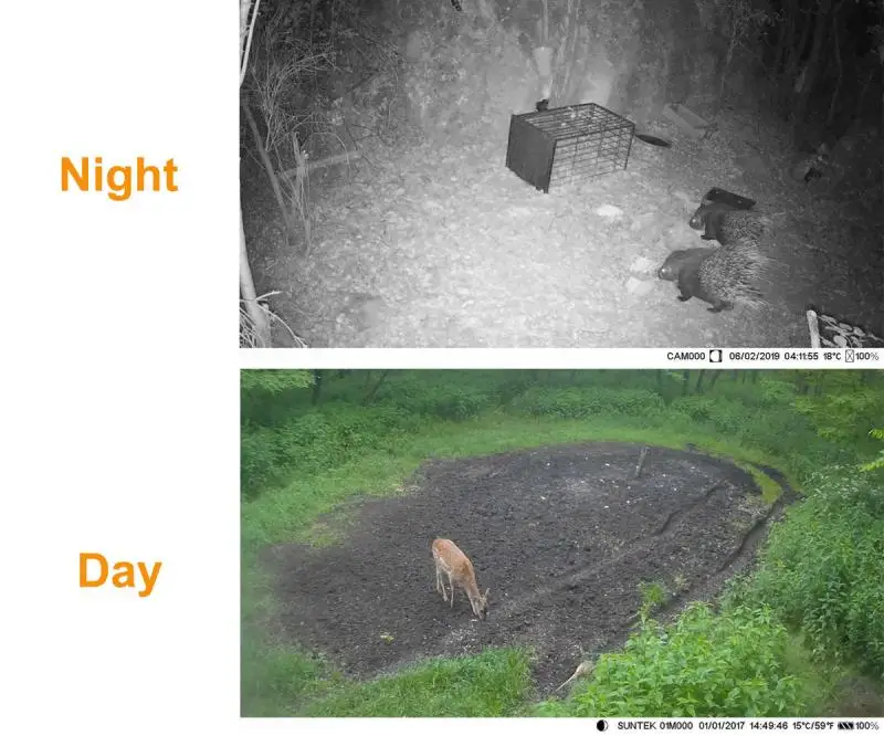 

Hunting Tracking Camera Deer Bear Hunting Camera Glowing Night Vision Prey Reconnaissance Surveillance