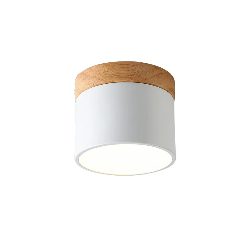 

LED Ceiling Lights for Bedroom surface mounted modern ceiling lamp living room bedroom porch modern house lighting fixture WY5