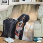 Фланелевое Одеяло Bernese Mountain Dog, детское одеяло с 3D принтом, сохраняющее тепло диван, домашний декор, текстиль, подарок для семьи мечты