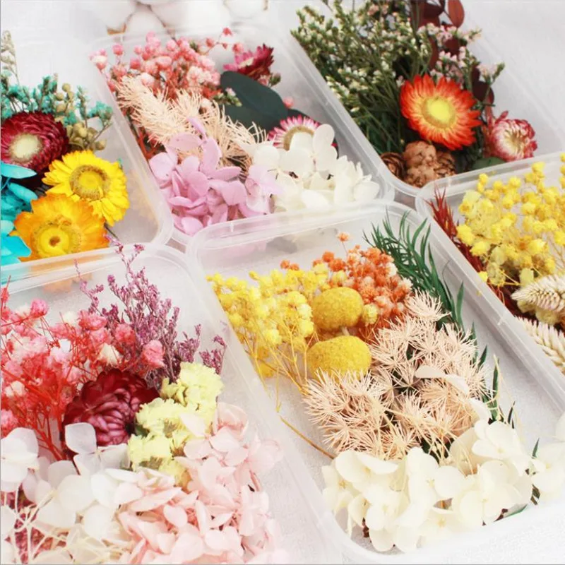 1 коробка реальные смешивания сухих цветов сухие растения для