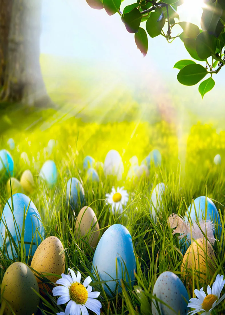 

Easter eggs Outdoor clear fairy tale children newborn photos wedding photos couples photos background photography background