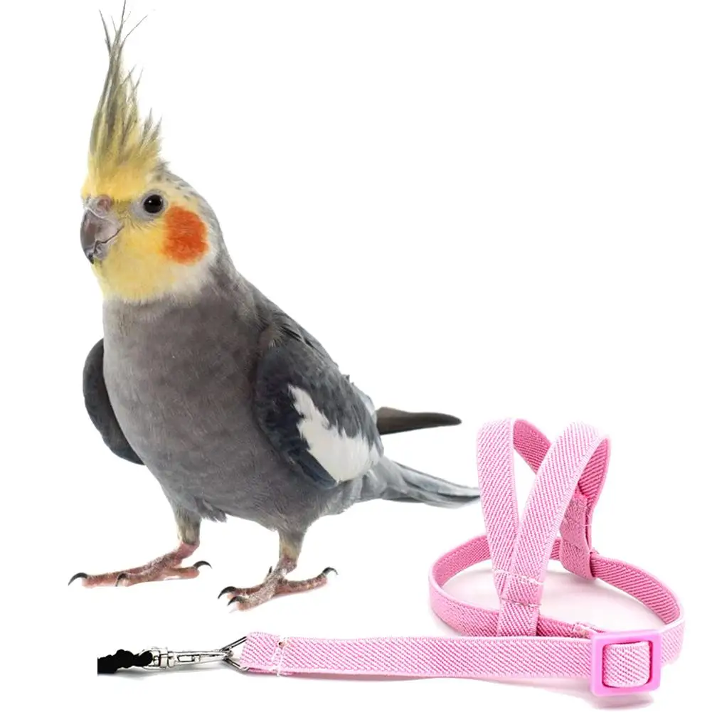 

Anti-bite Flying Training Rope Parrot Bird Pet Leash Kits Ultralight Harness Leash Soft Portable Pet Plaything Bird Product
