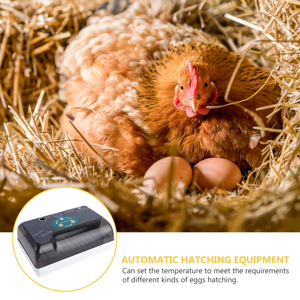 

Automatic Household Incubator Bird Geese Egg Experiment Teaching Incubation Equipment(12 Pieces Capacity With US Plug)