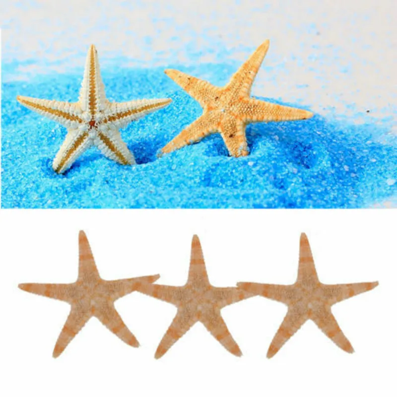 

100pcs 1-2cm natural starfish shell beach crafts natural starfish beach wedding decoration crafts home decoration epoxy resin
