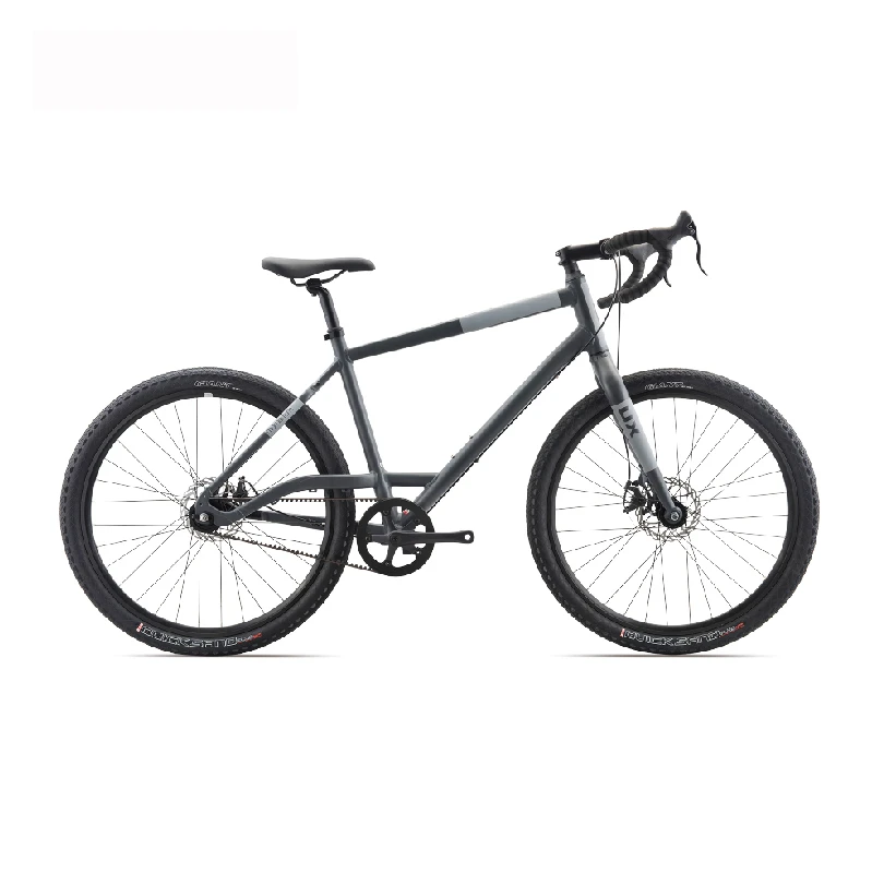 

The New Fashion Bicycle Convenient City Single Speed Belt Drive System of Adult Leisure Bikes