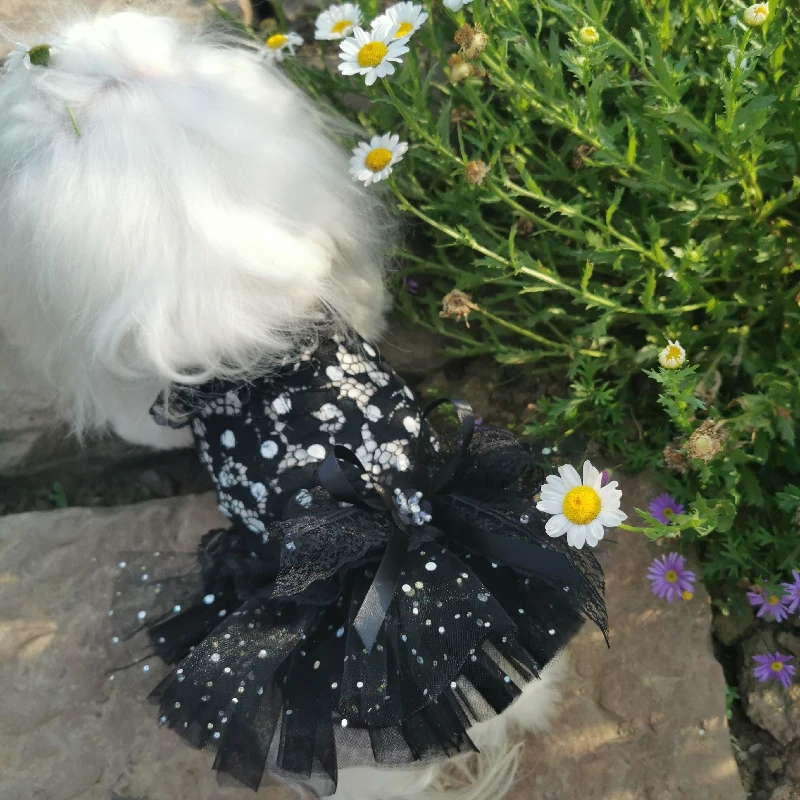 Новинка 2021 модное пикантное платье на бретельках для щенков черное белое в