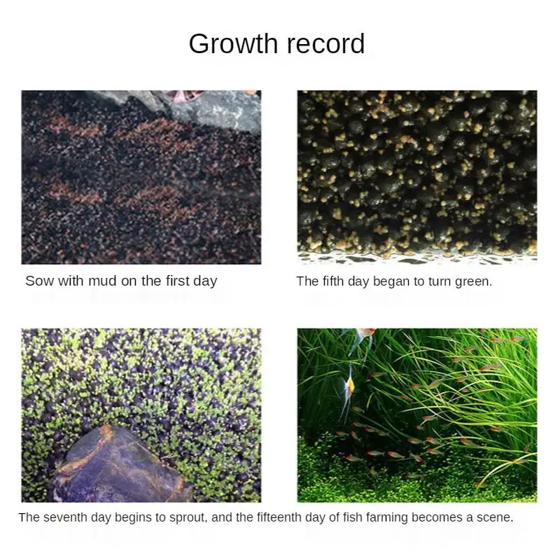 

Easy Growing Aquarium Water Plant Carpet Hemianthus Aquarium Grass Moss Lawn Decoration For Fish Tank Home Garden Supplies