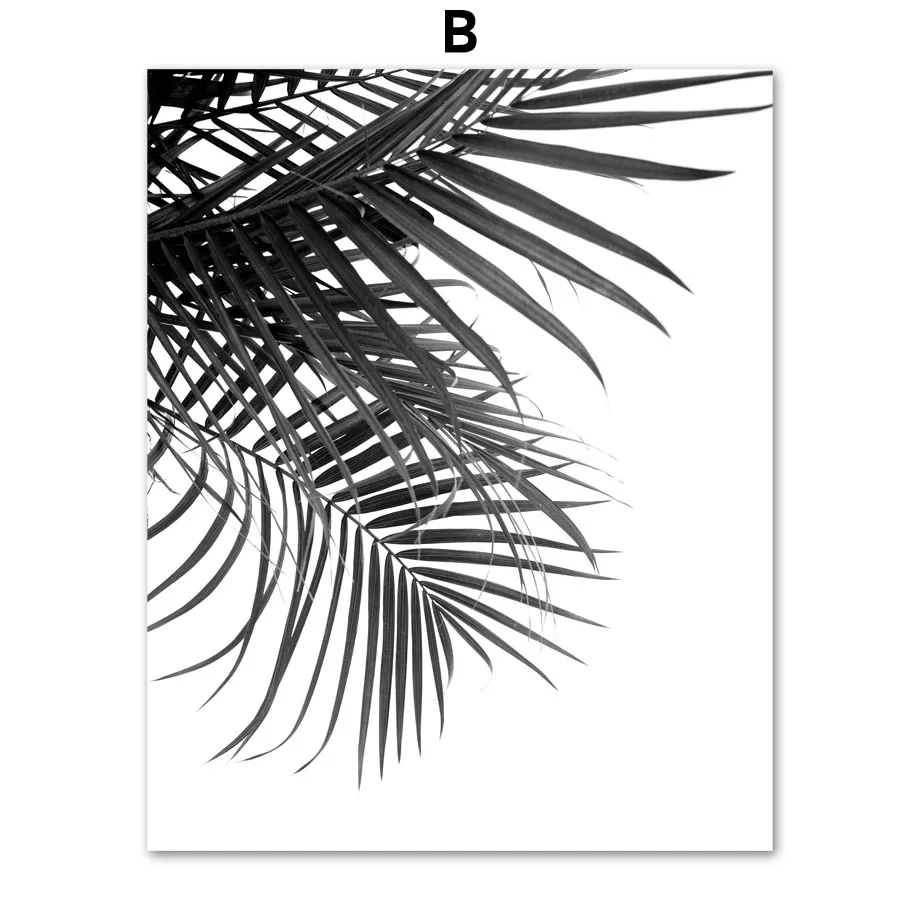 Плакаты и принты в скандинавском стиле с черными белыми пальмовыми листьями