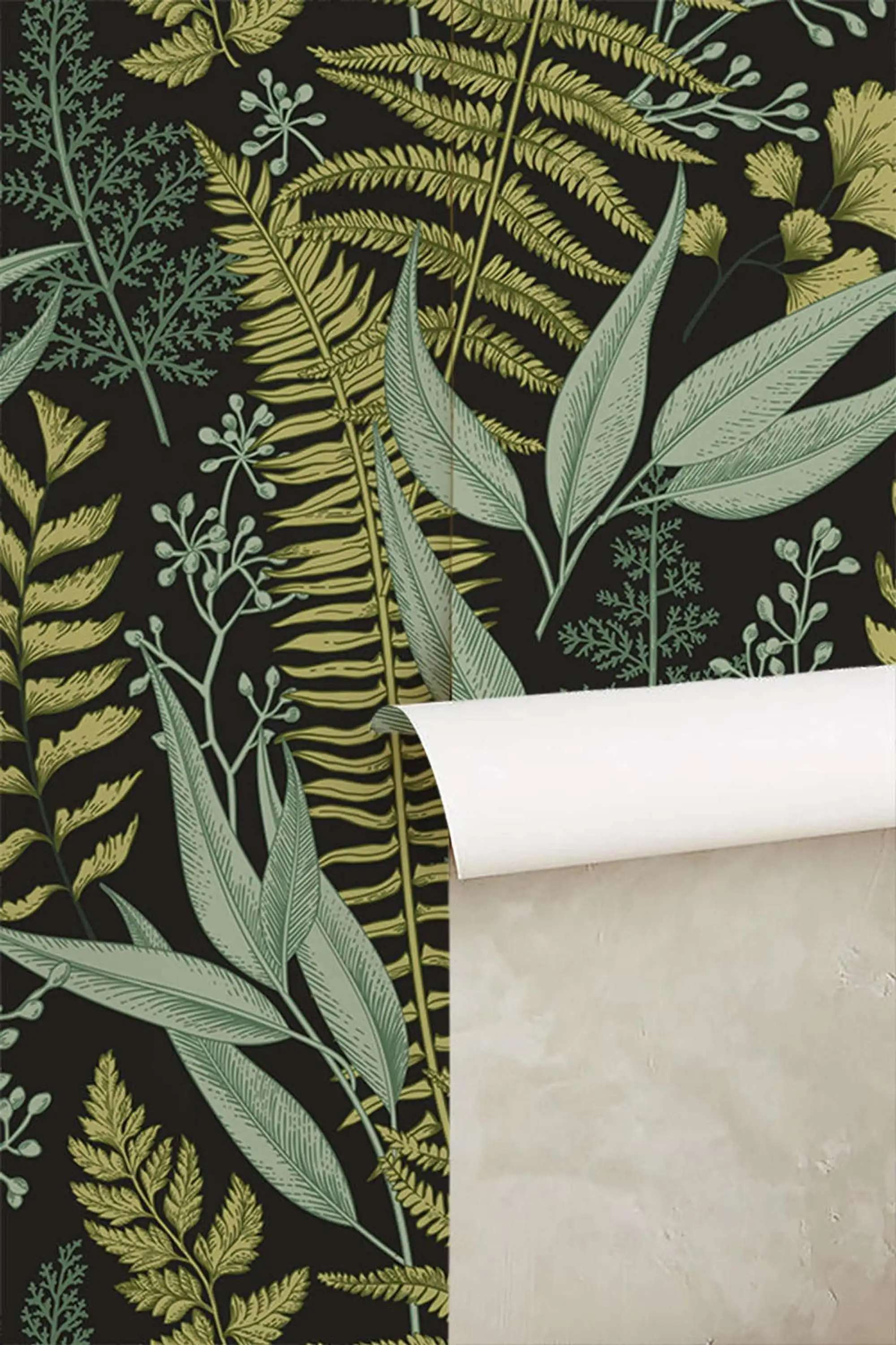 Hand drawn tropical fern plants wallpaper with balck back for living room bedroom ST484957951-2 | Wallpapers