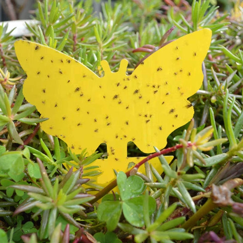 

100 Pcs Birds Shape Double-Sided Insect Trap Yellow Sticky Fruit Fly and Fungus