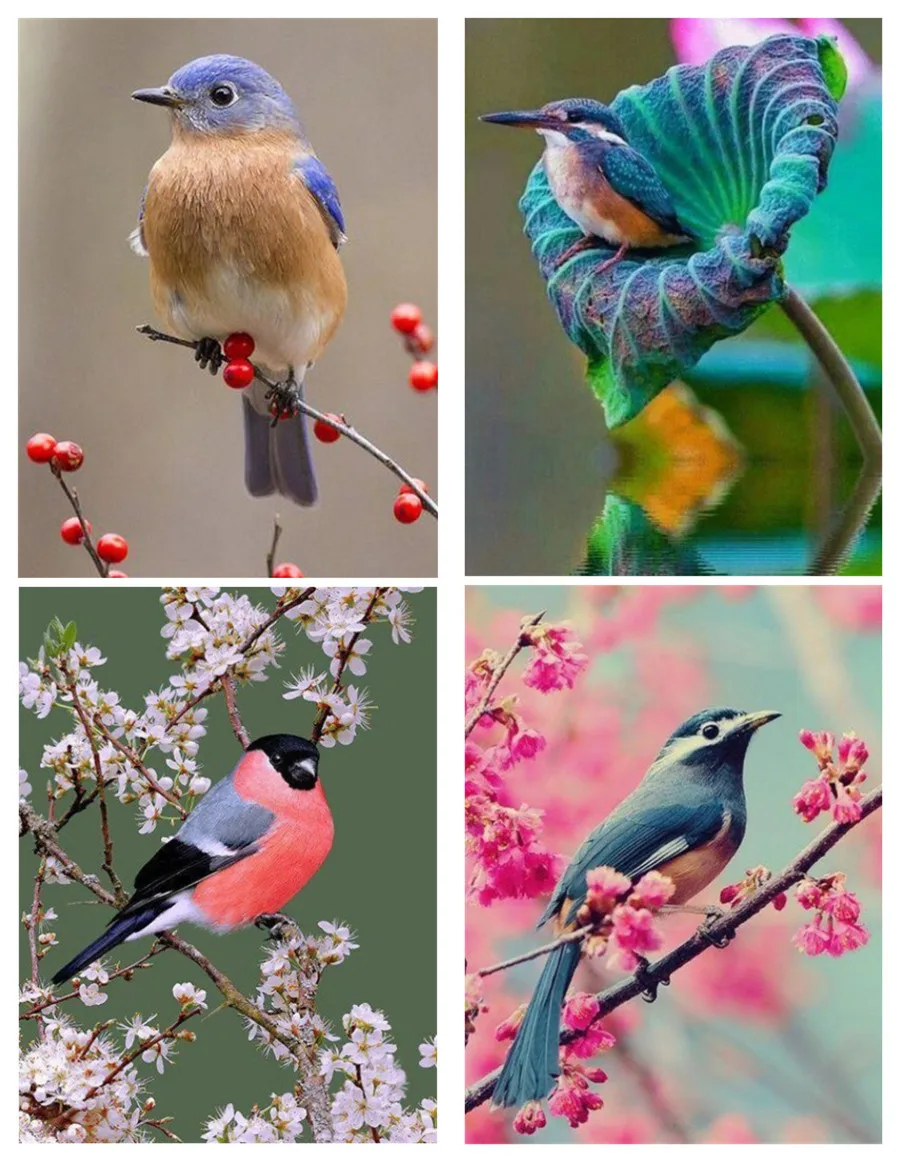 5D DIY алмазная живопись клубов птичка животное круглая Алмазная вышивка полное