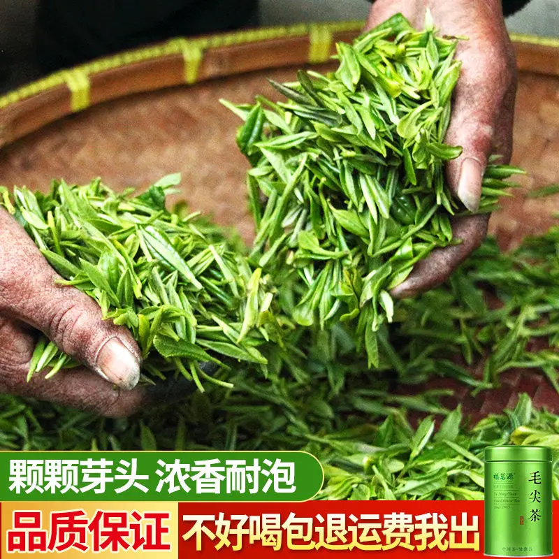 Mingqian Maojian чай 2021 новый Yunwu зеленый Gaoshan консервированный Подарочная коробка 125g250g |