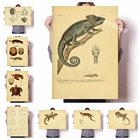 Винтажная крафт-бумага Стиль учебник иллюстрация декоративное живописное полотно плакат Хамелеон ящерица картина с морской черепахой o277