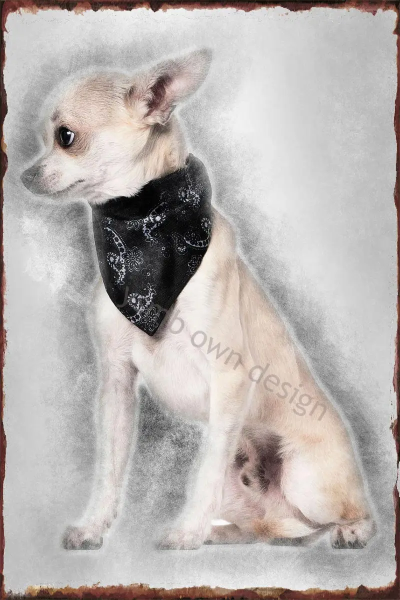 

Носовой платок чихуахуа, винтажный металлический знак, жестяной знак, оловянные пластины, декор для стен, ретро для творчества, дома, клуба, ...