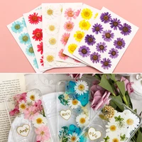 12pcsbag hot sale colorful dried daisy flower diy jewelry making resin art crafts pressed flowers