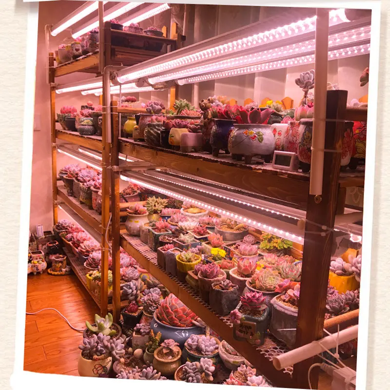 Светодиодные лампы в комплекте трубки T8 по индивидуальному заказу габаритные