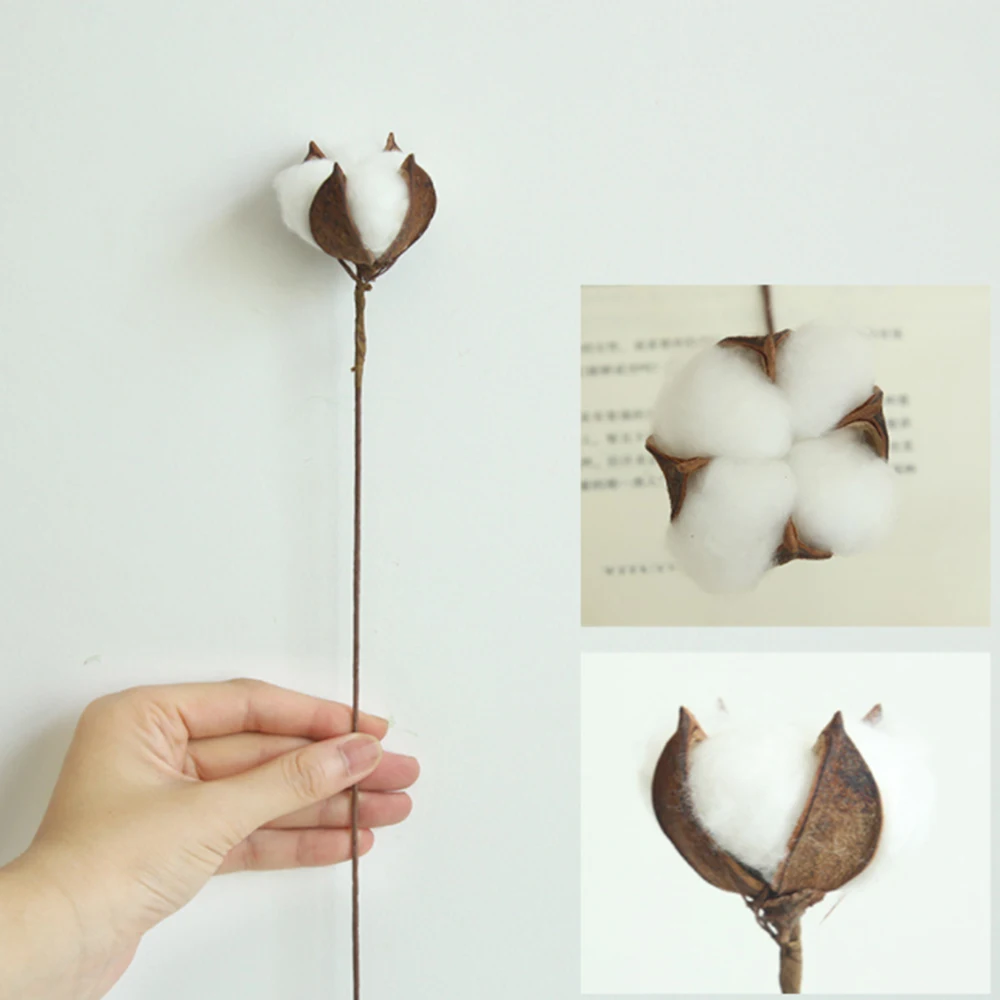 

5Pcs Natural Dried Flowers Cotton Stems Fake Plants Floral Artificial Branches Decoration Wedding Party Home Decor Handmade Art