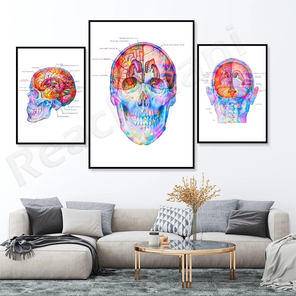 

Craniocerebral Topographic Map Poster Brain Anatomy Art Anatomy Brain Print Medical Art Neurology Print Clinic Decoration Neurol