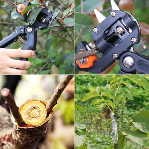 

Garden Grafting Pruner Professional Branch Cutter Secateur Tree Pruning Shears Knife Fruit Tree Grafting Scissor Dropshipping