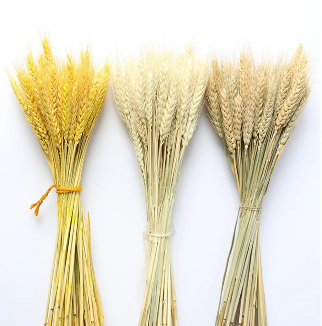 50Pcs/lot Home decor  Art flowers and plants  Real Wheat Ear Flower Natural Dried Flowers For  wedding decoration  DIY Craft