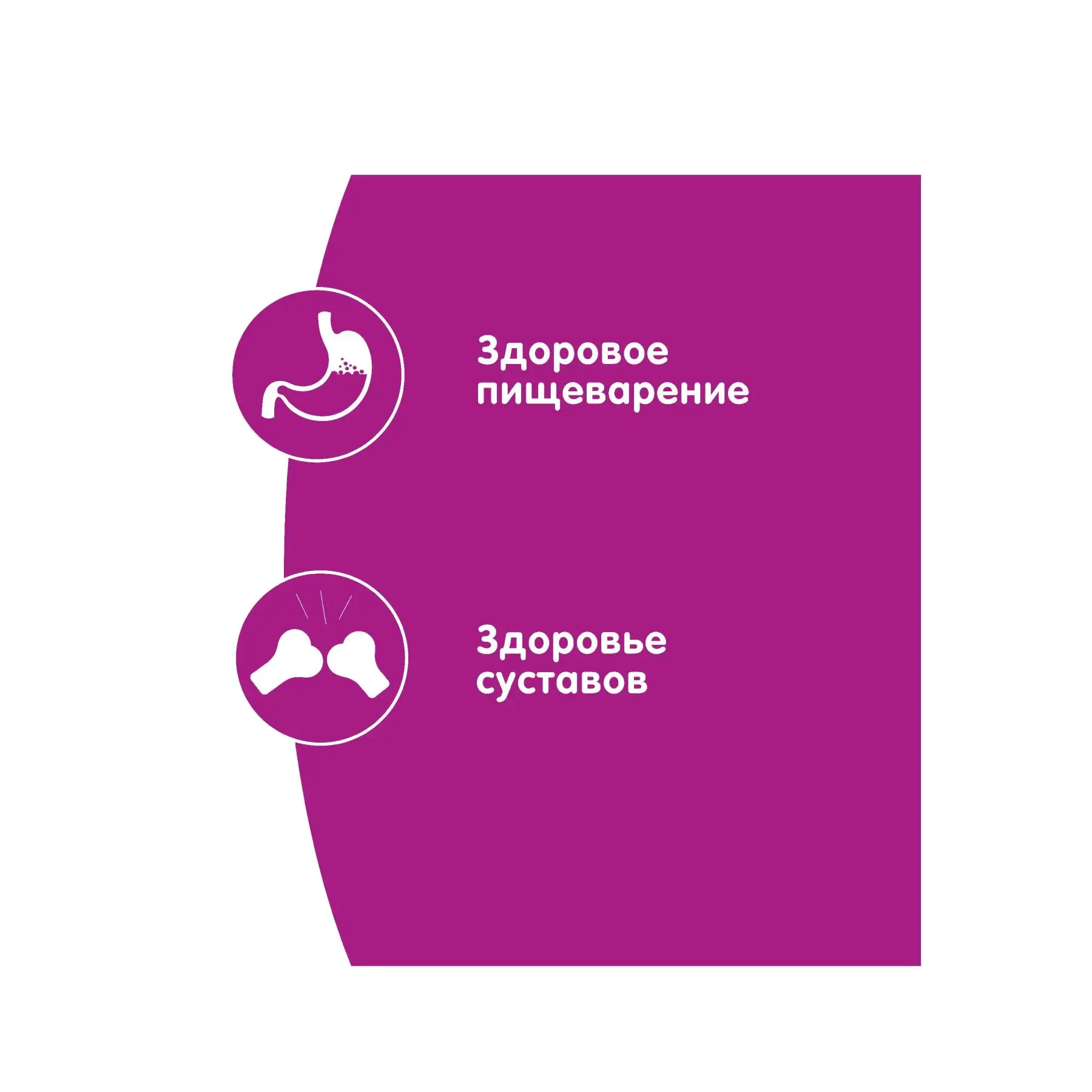 Влажный корм для кошек старше 7 лет Whiskas рагу с ягненком 28 шт по 85г|Кошачий мягкий