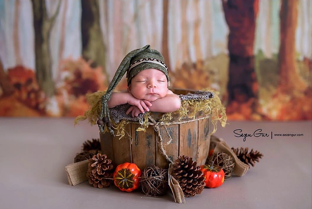 Реквизит для фотосъемки сушеные цветы в стиле ретро украшения пинекона