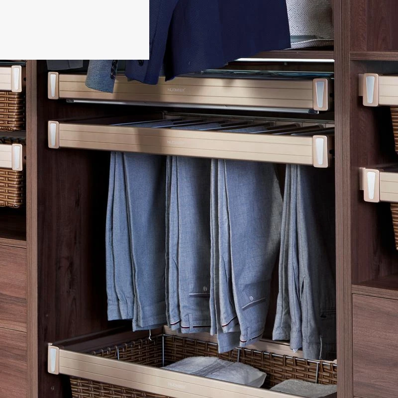 

Wardrobe Scarf Etagere Rangement Organizadores De No Guarda Roupa Room Estante Rack Shelf Adjustable Closet Organizer Basket