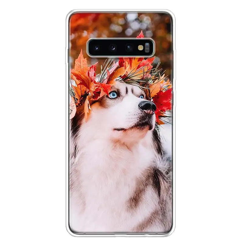 Чехол для Samsung Galaxy S10 Plus S20 FE S21 S22 Ultra S10E S9 S8 + S7 Edge J4 | Мобильные телефоны и аксессуары