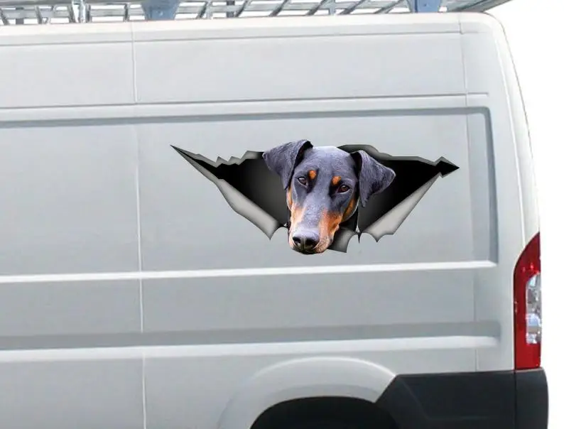 

2021 Doberman decal, pet sticker, dog decal, doberman natural ears