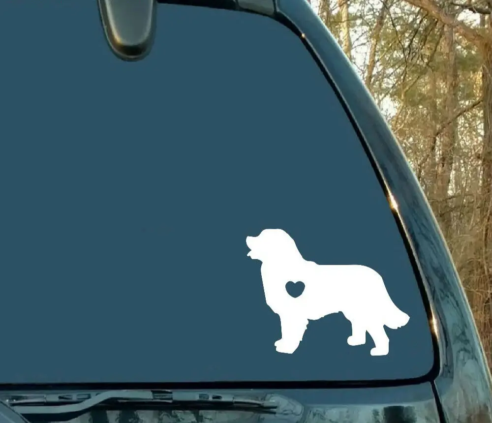 Бернская горная собака для авто автомобиля/окна виниловая наклейка Наклейки