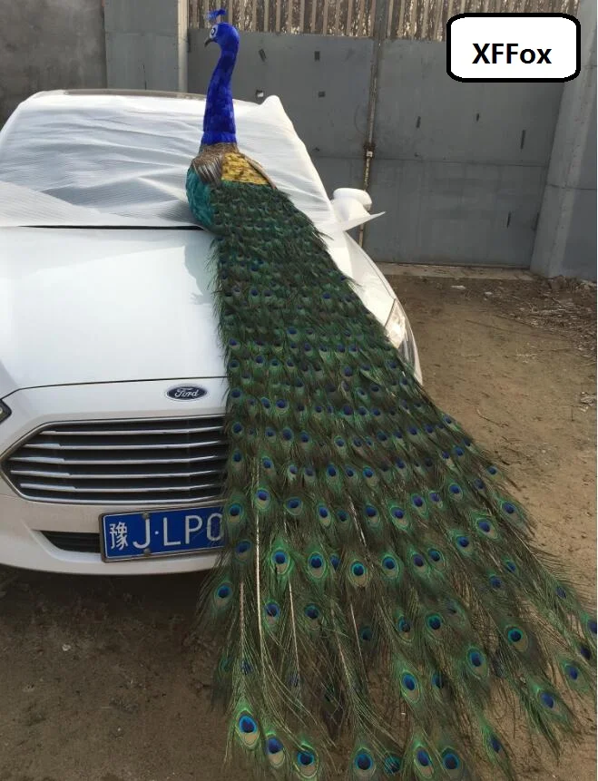 

long real life colourful peacock model foam&feather huge simulation beautiful peacock bird gift about 180cm xf2460