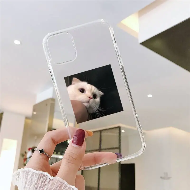 

Cute cat Phone Case Transparent soft For iphone 5 5s 5c se 6 6s 7 8 11 12 plus mini x xs xr pro max