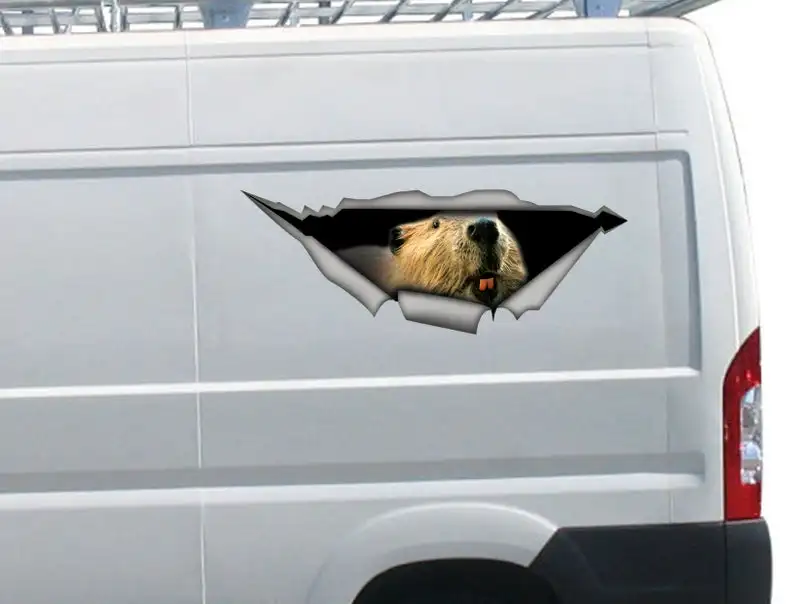 

2021 Sticker, Beaver car sticker , beaver decal, animal sticker