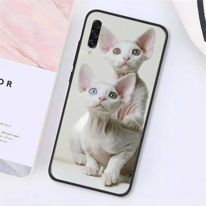

Sphynx cat cute animal Phone Case For Samsung galaxy S 9 10 20 A 10 21 30 31 40 50 51 71 s note 20 j 4 2018 plus Luxury brand