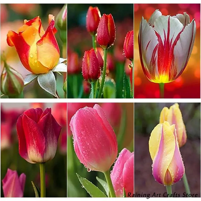 

5D Diy Diamond Painting Tulip Flower Embroidery Full Round Square Drill Cross Stitch Kits Landscape Mosaic Pictures Home Decor