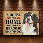 Bernese Mountain Dog a House не является домашним жестяным знаком